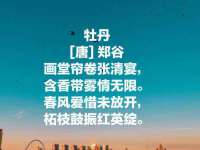 北京知趣鸟网络科技有限公司